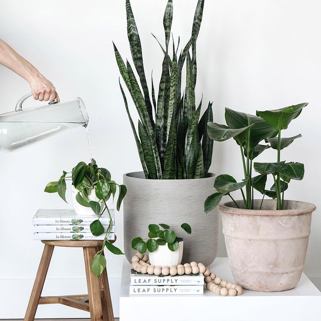 Untainted Natural Products